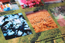 Load image into Gallery viewer, Honey Moon 2026 Calendar