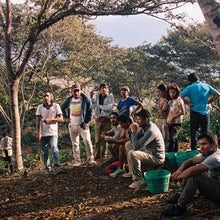 Load image into Gallery viewer, Margarita Estate Blend (Whole Bean Coffee, 12 oz.)