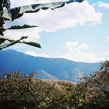 Load image into Gallery viewer, Greetings From Peru (Whole Bean Coffee, 12 oz.)