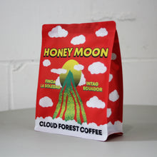 Load image into Gallery viewer, Cloud Forest
