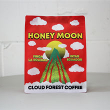 Load image into Gallery viewer, Cloud Forest

